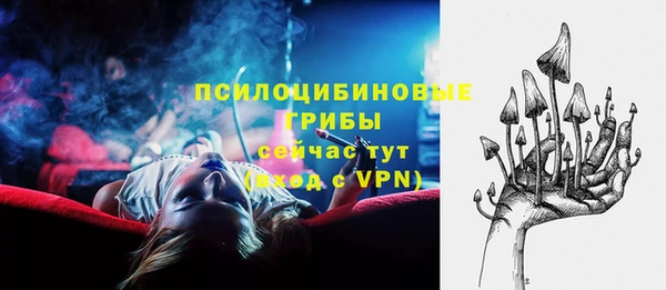 соль ск Зеленодольск