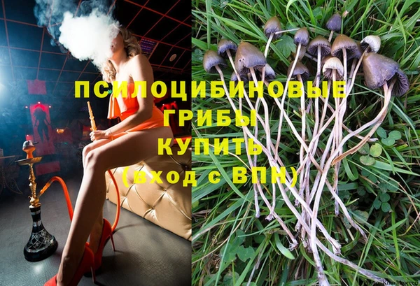 прущая мука Зеленокумск