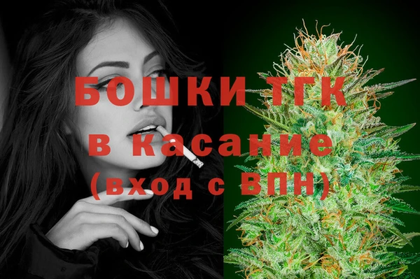 соль ск Зеленодольск