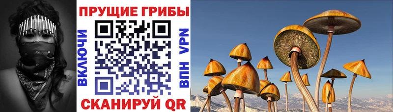 Купить  Отрадный  Псилоцибиновые грибы мухоморы 